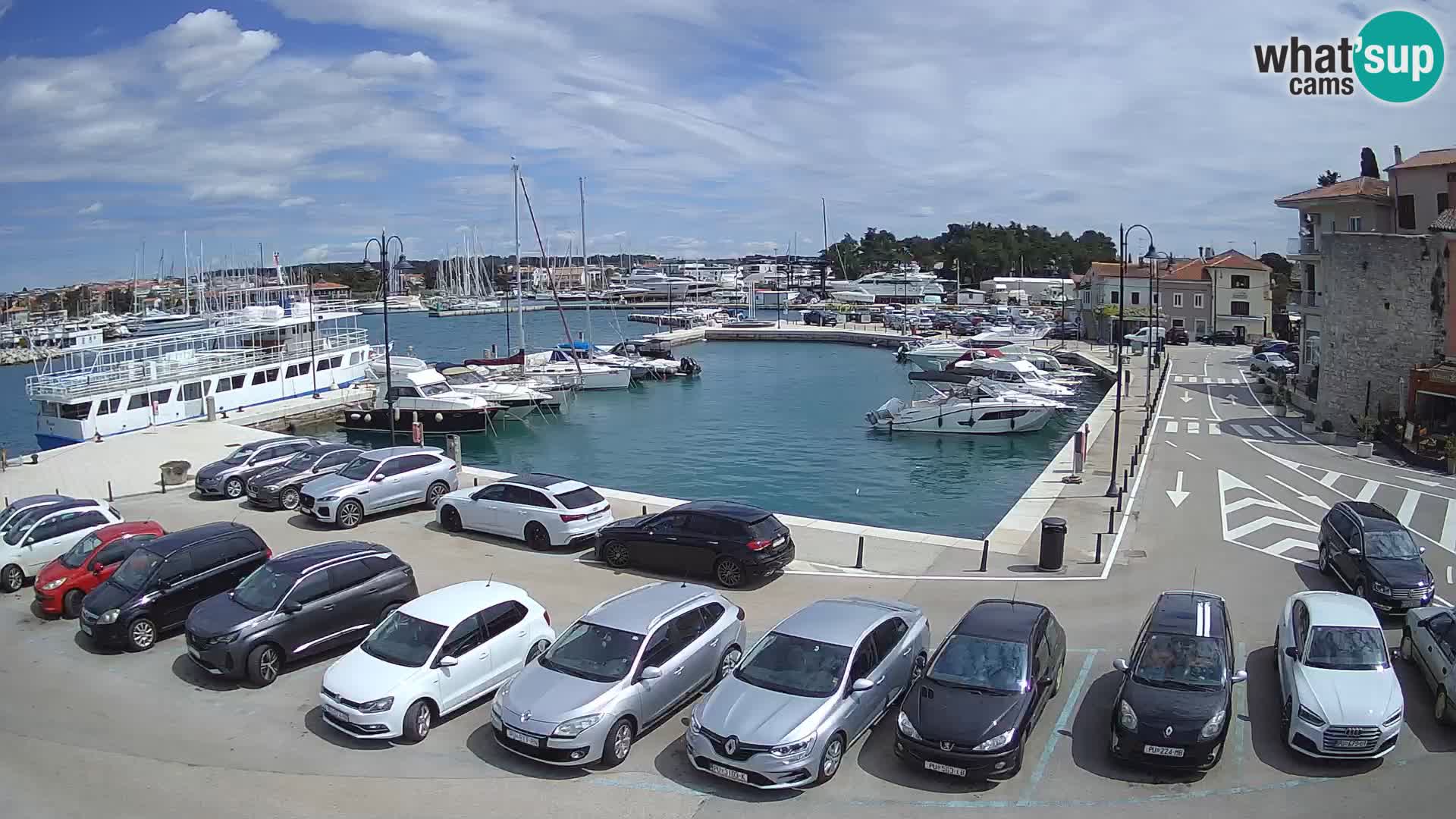 Novigrad | Porporela marina