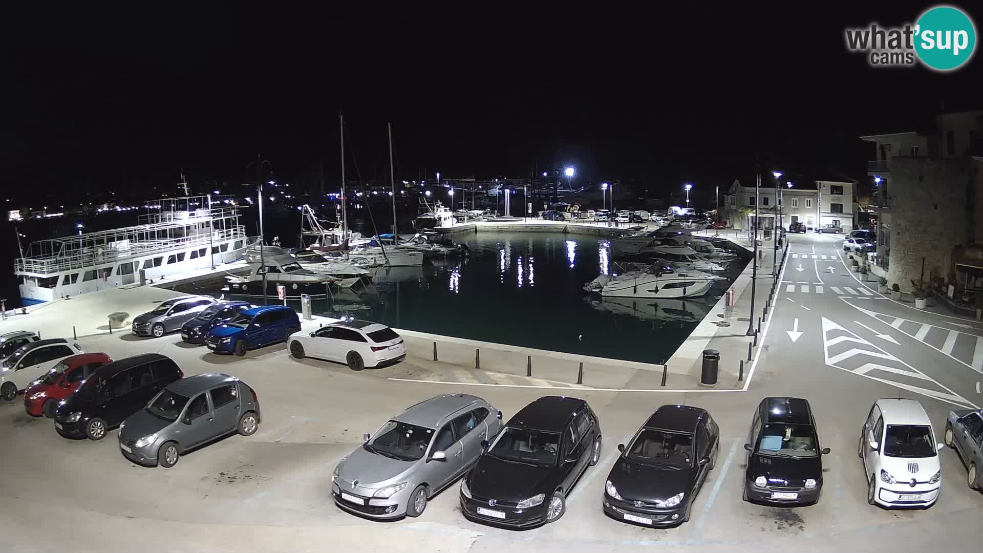 Novigrad | Porporela marina