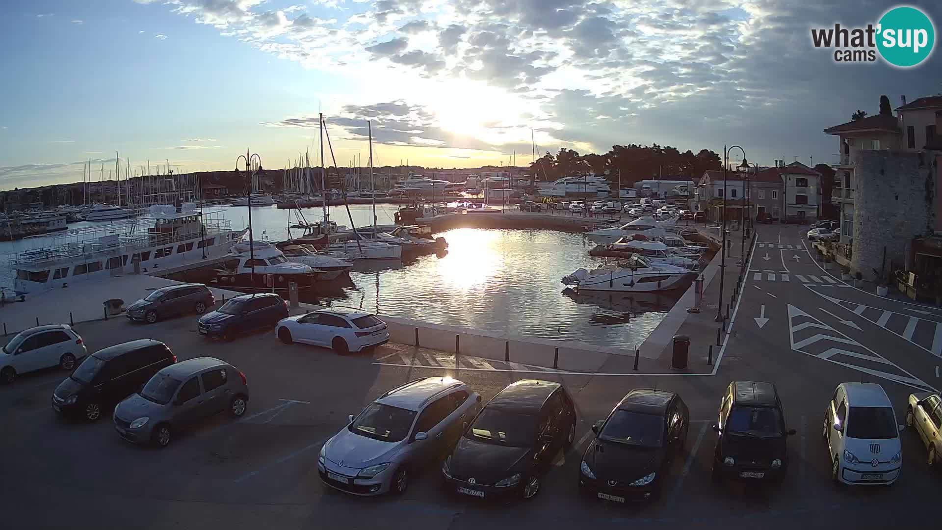 Novigrad | Porporela marina