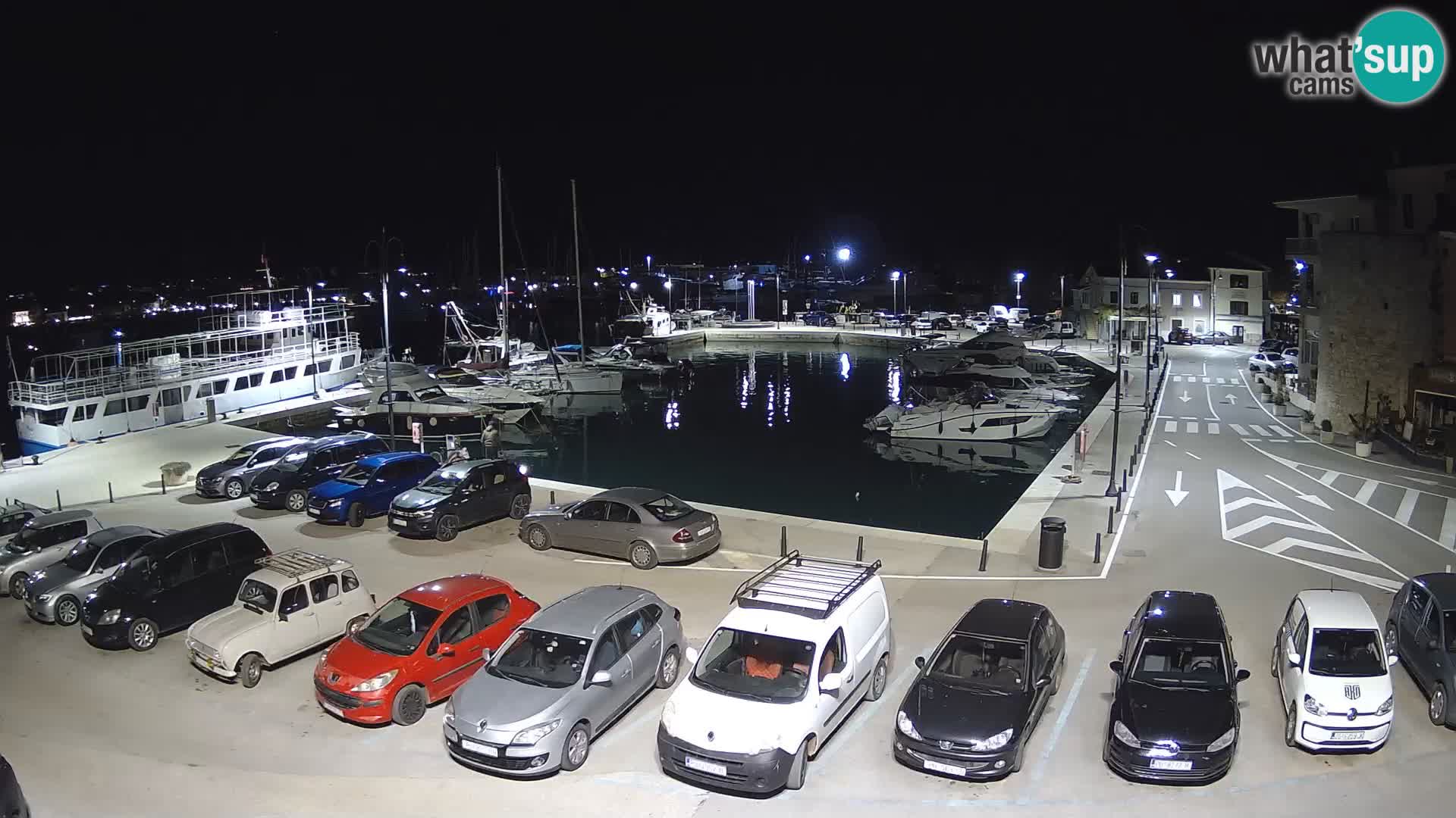 Novigrad | Porporela marina