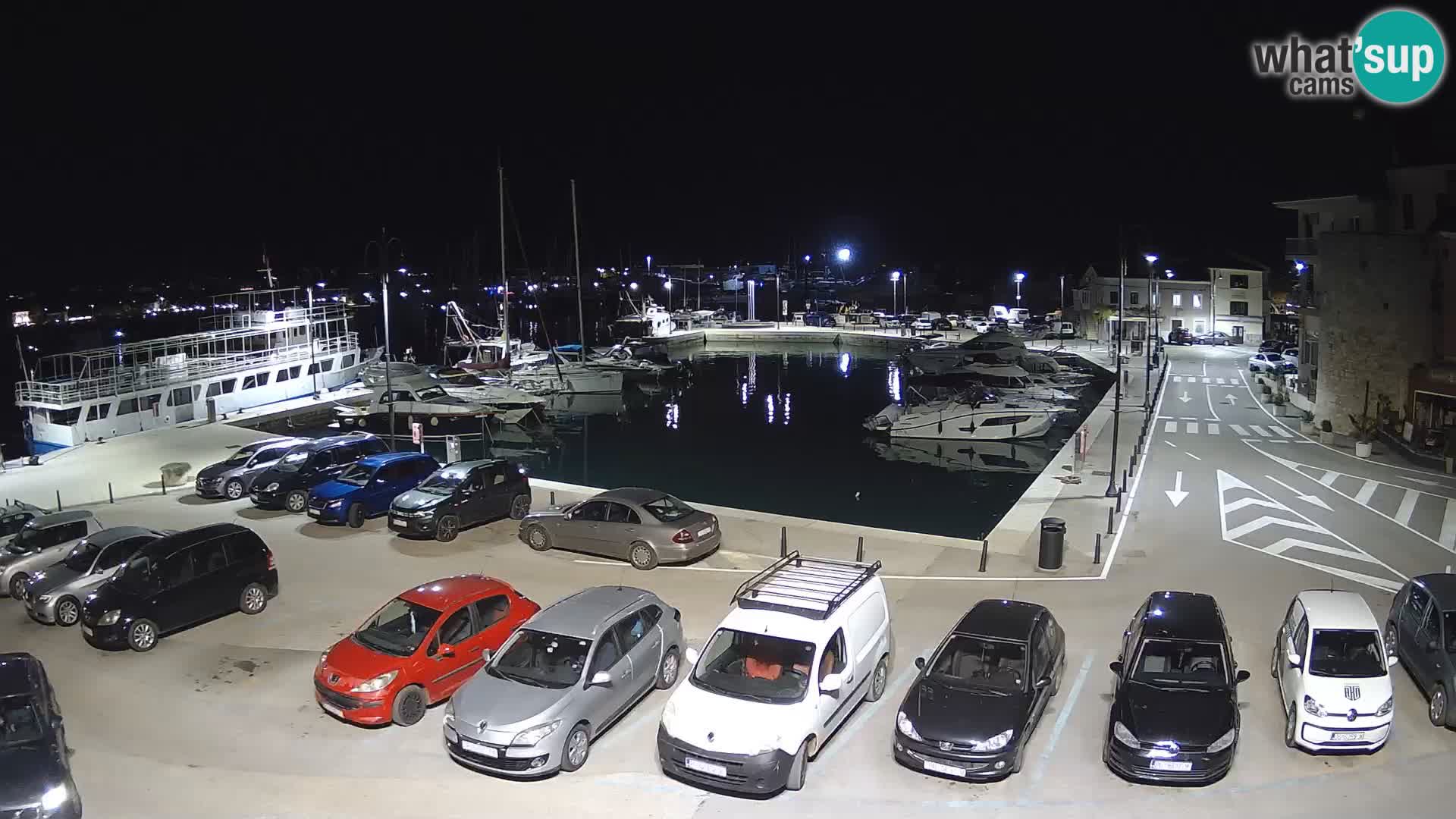 Novigrad | Porporela marina