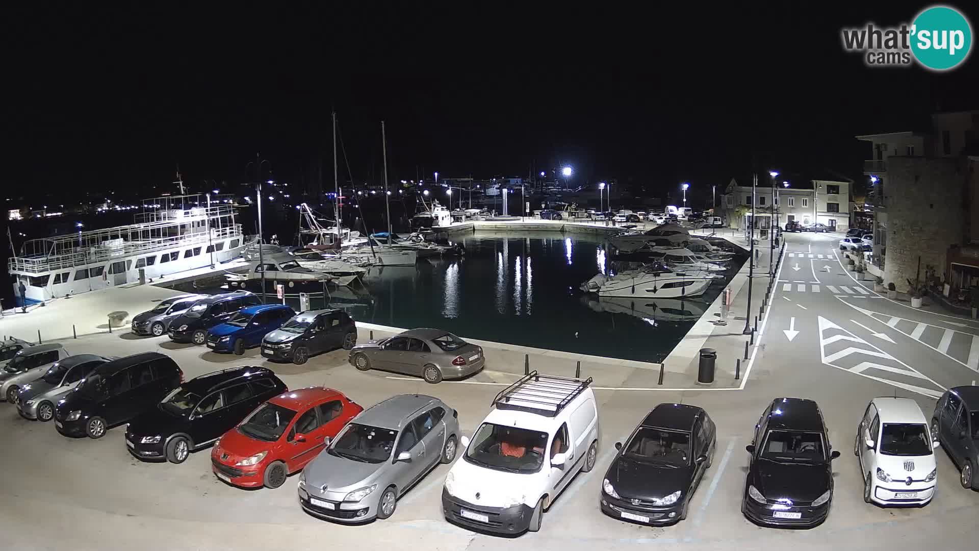 Novigrad | Porporela marina