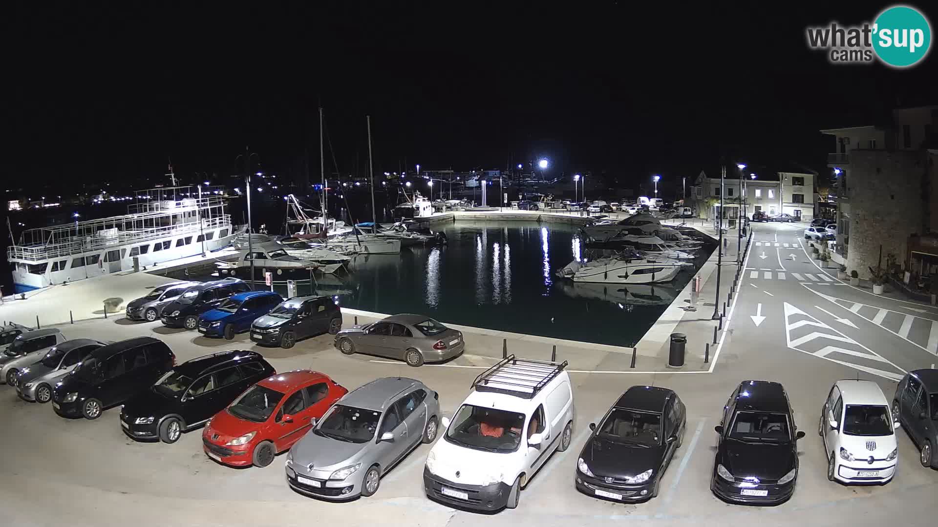 Novigrad | Porporela marina