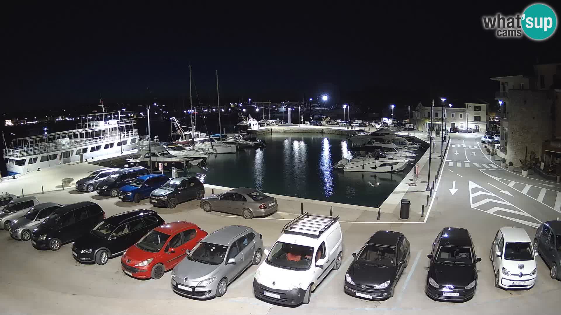 Novigrad | Porporela marina