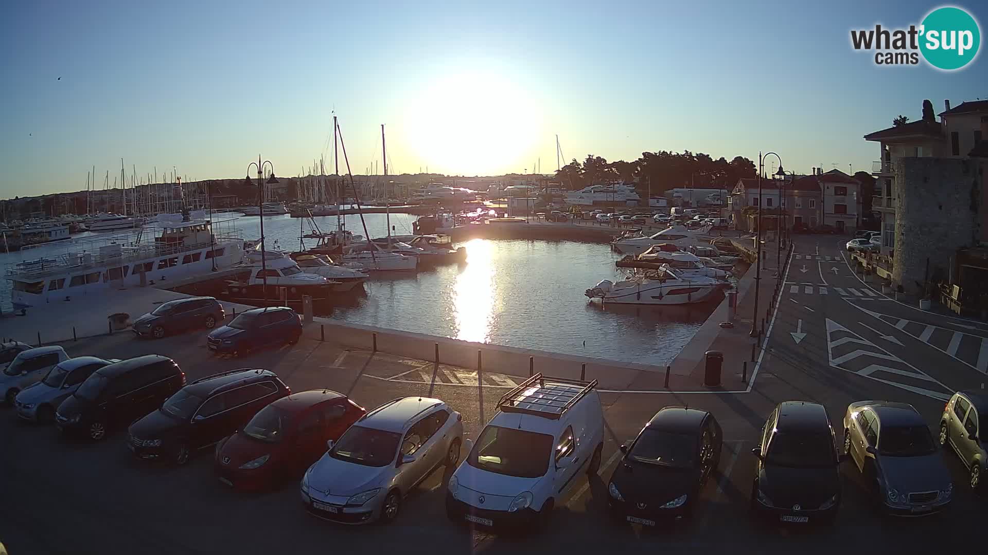 Novigrad | Porporela marina