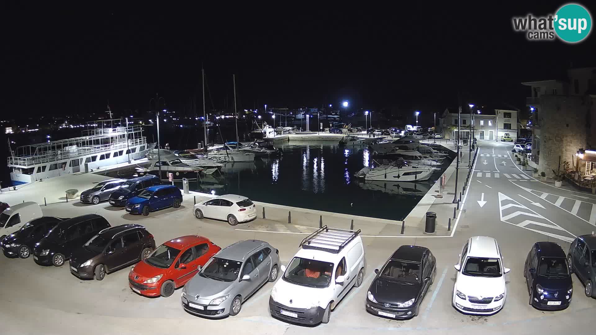 Novigrad | Porporela marina