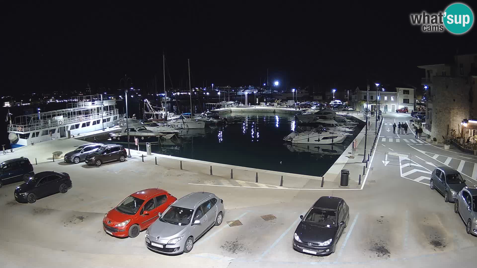 Novigrad | Porporela marina