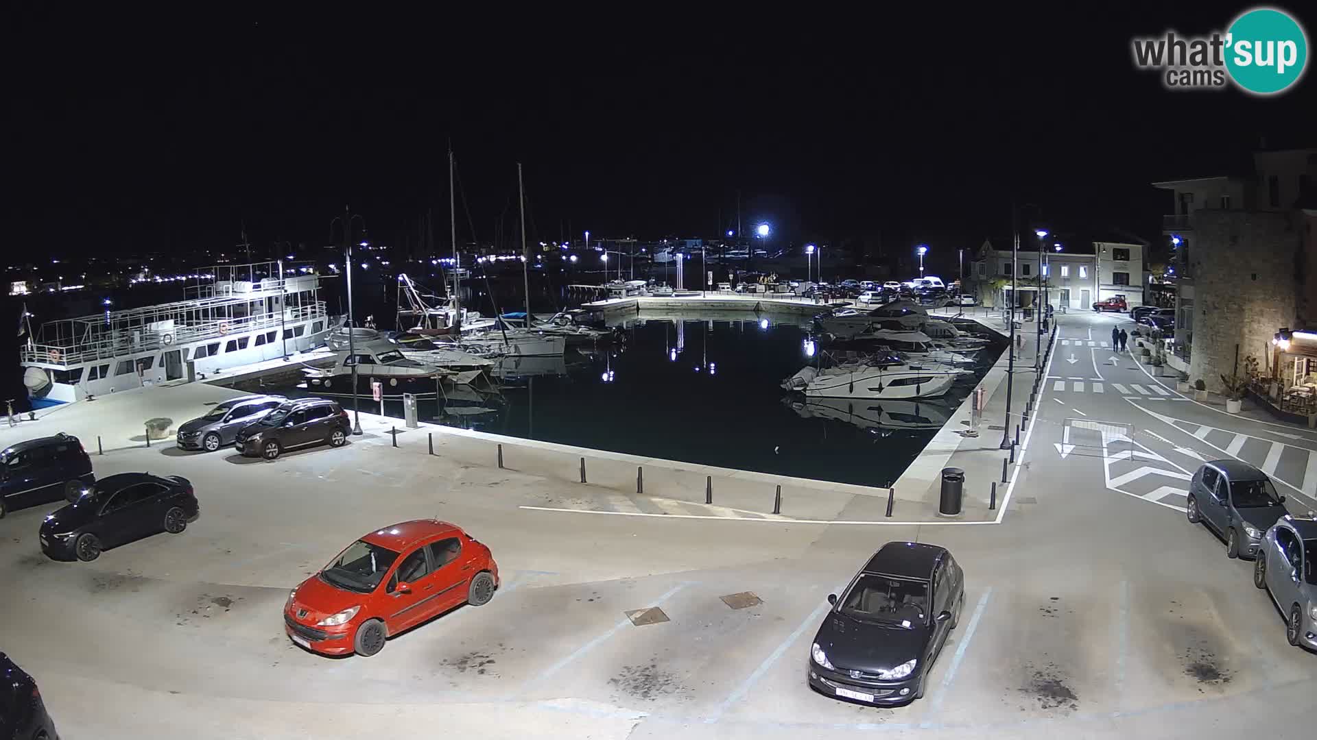 Novigrad | Porporela marina