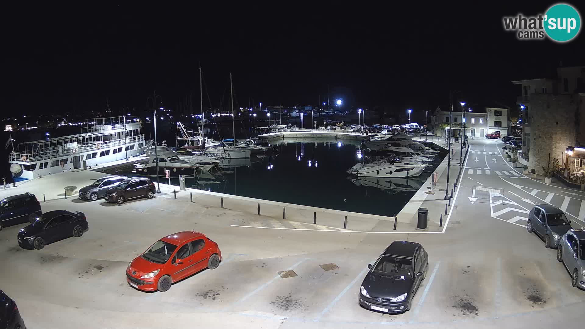 Novigrad | Porporela marina
