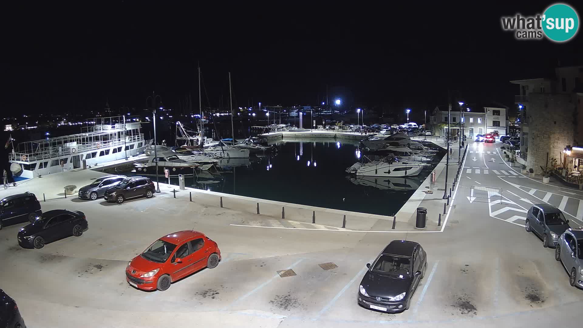 Novigrad | Porporela marina
