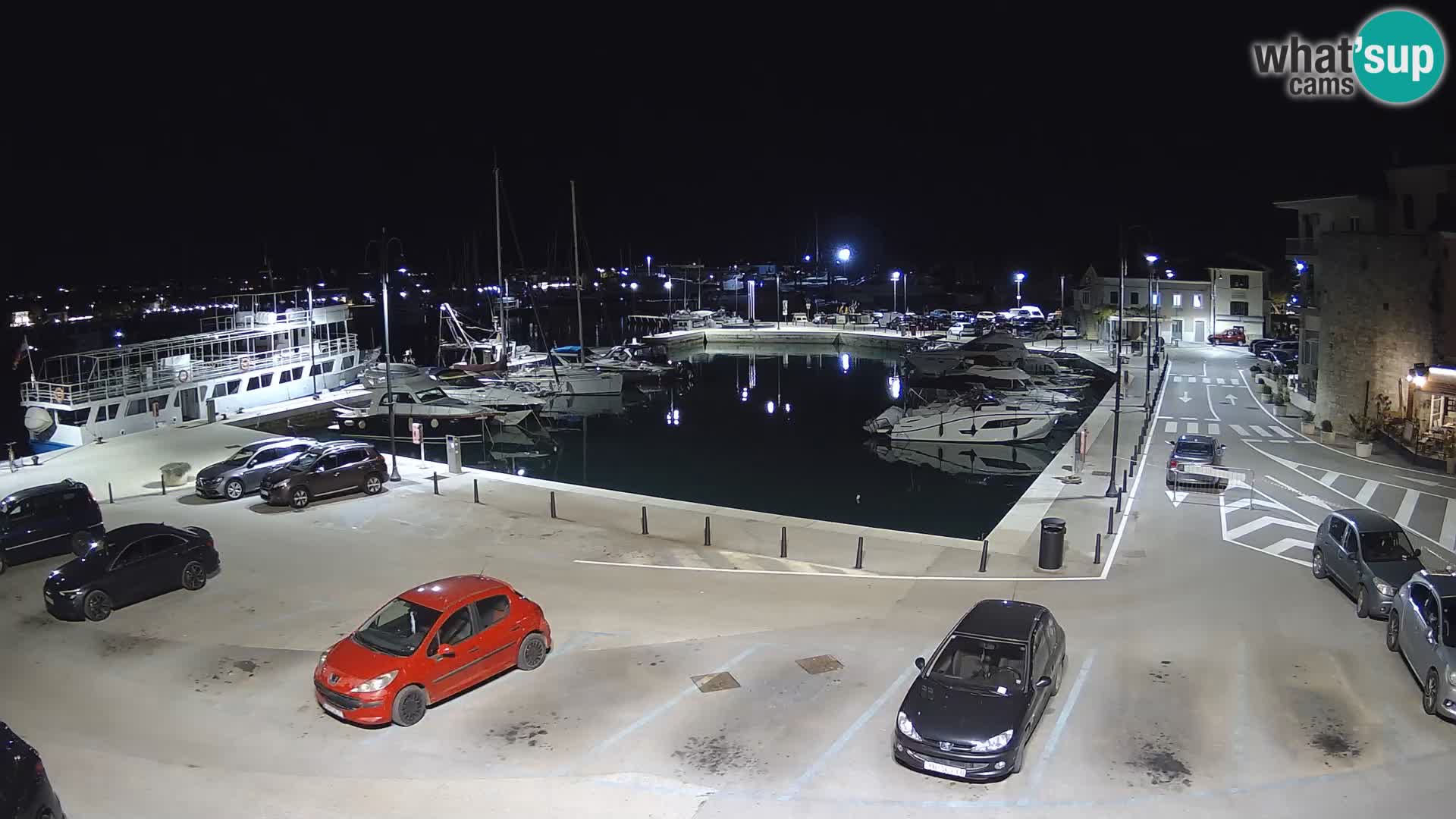 Novigrad | Porporela marina