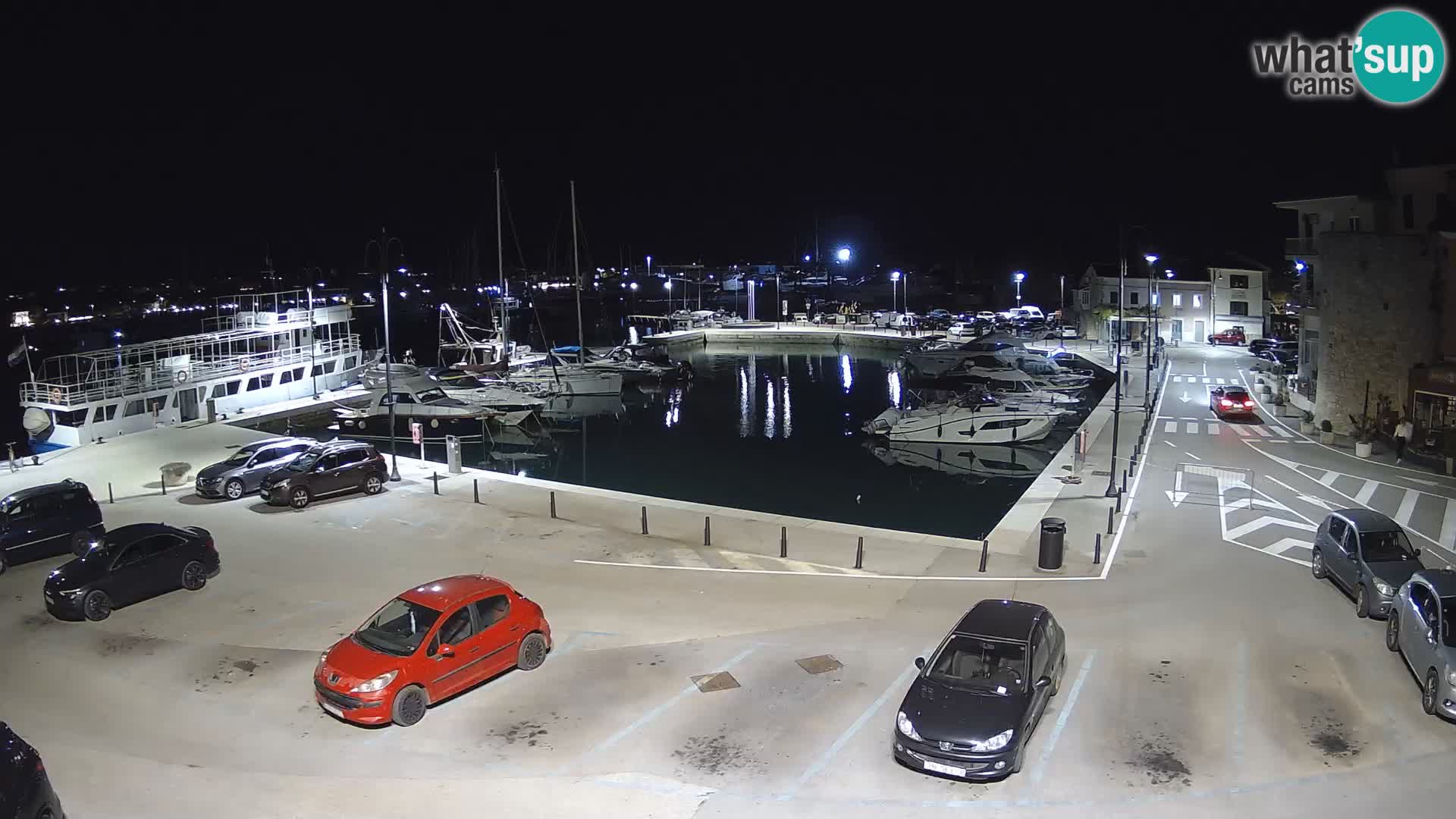 Novigrad | Porporela marina