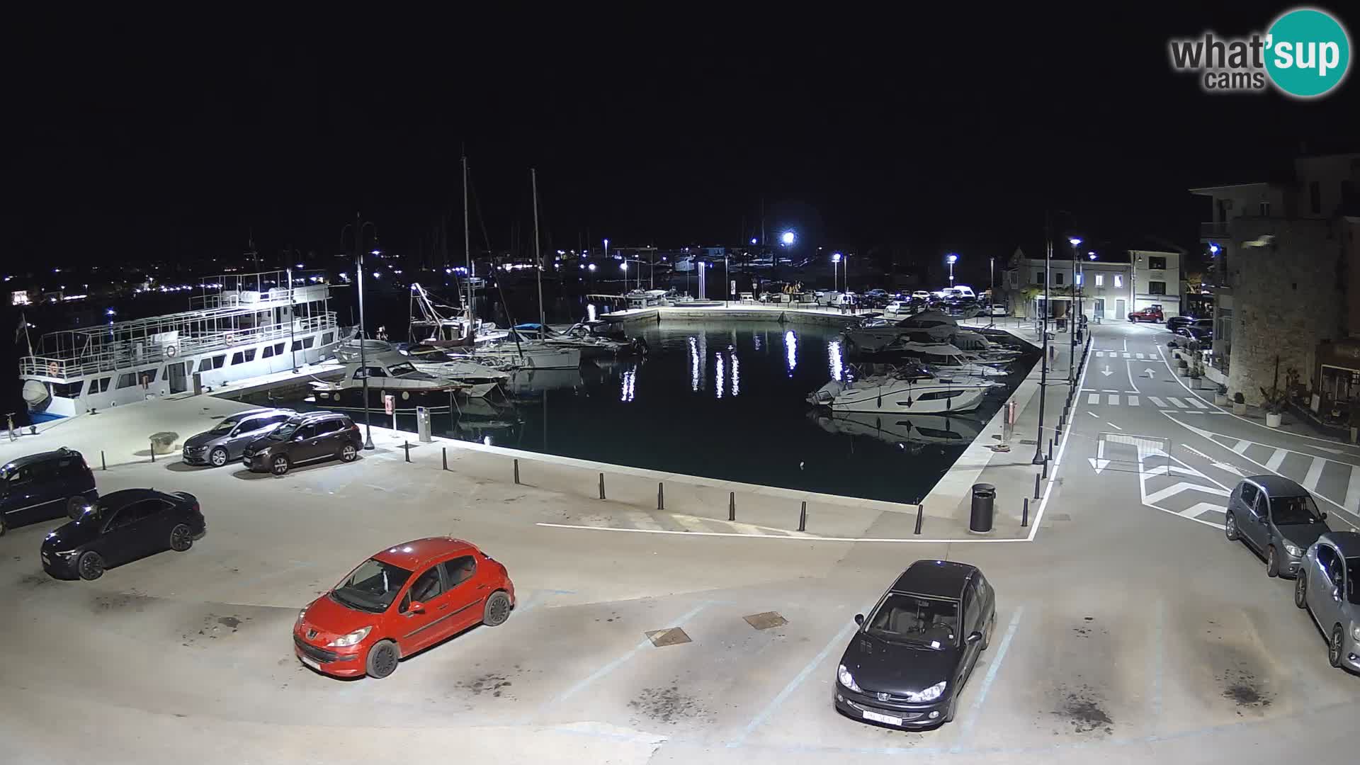 Novigrad | Porporela marina
