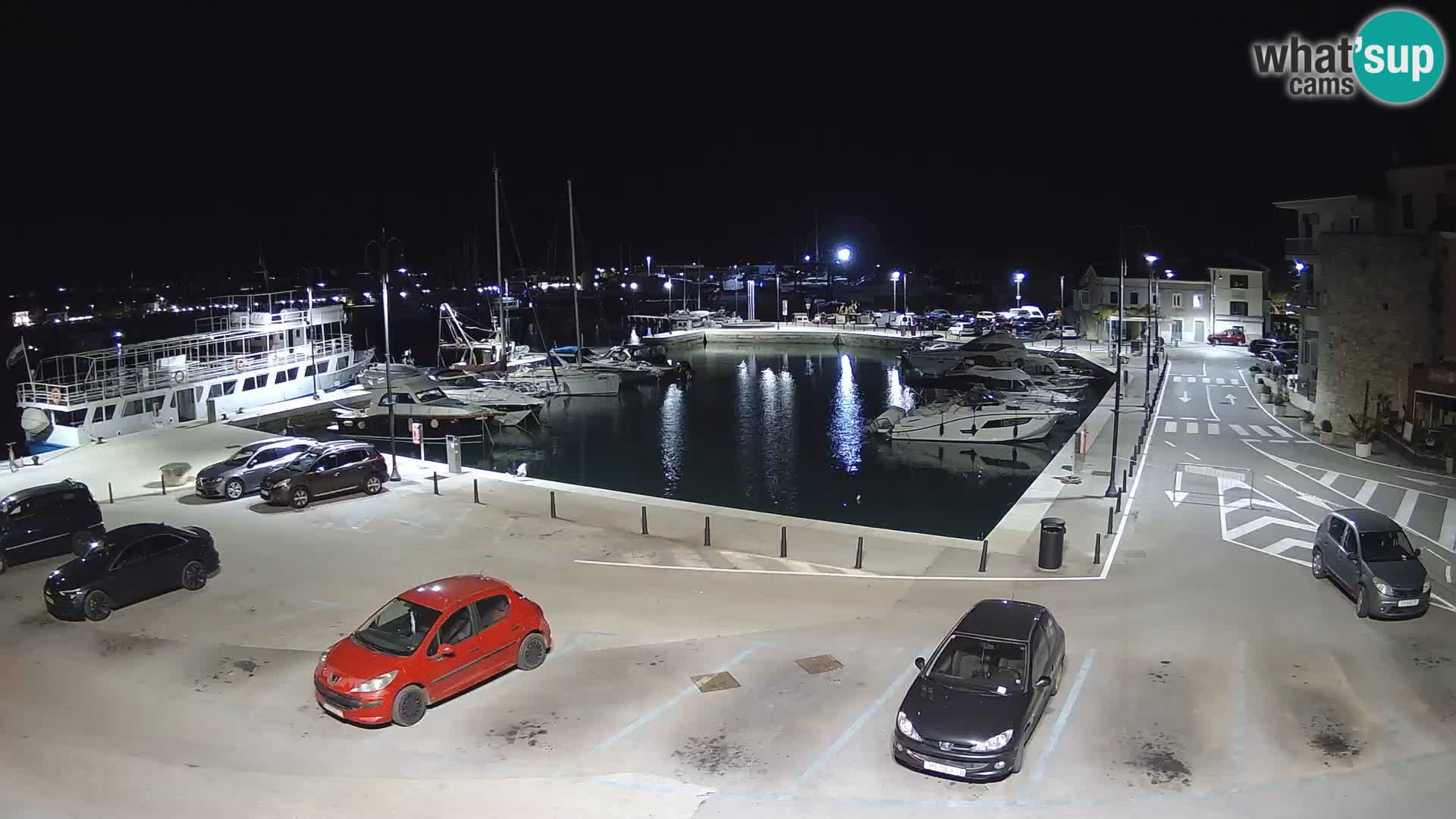 Novigrad | Porporela marina