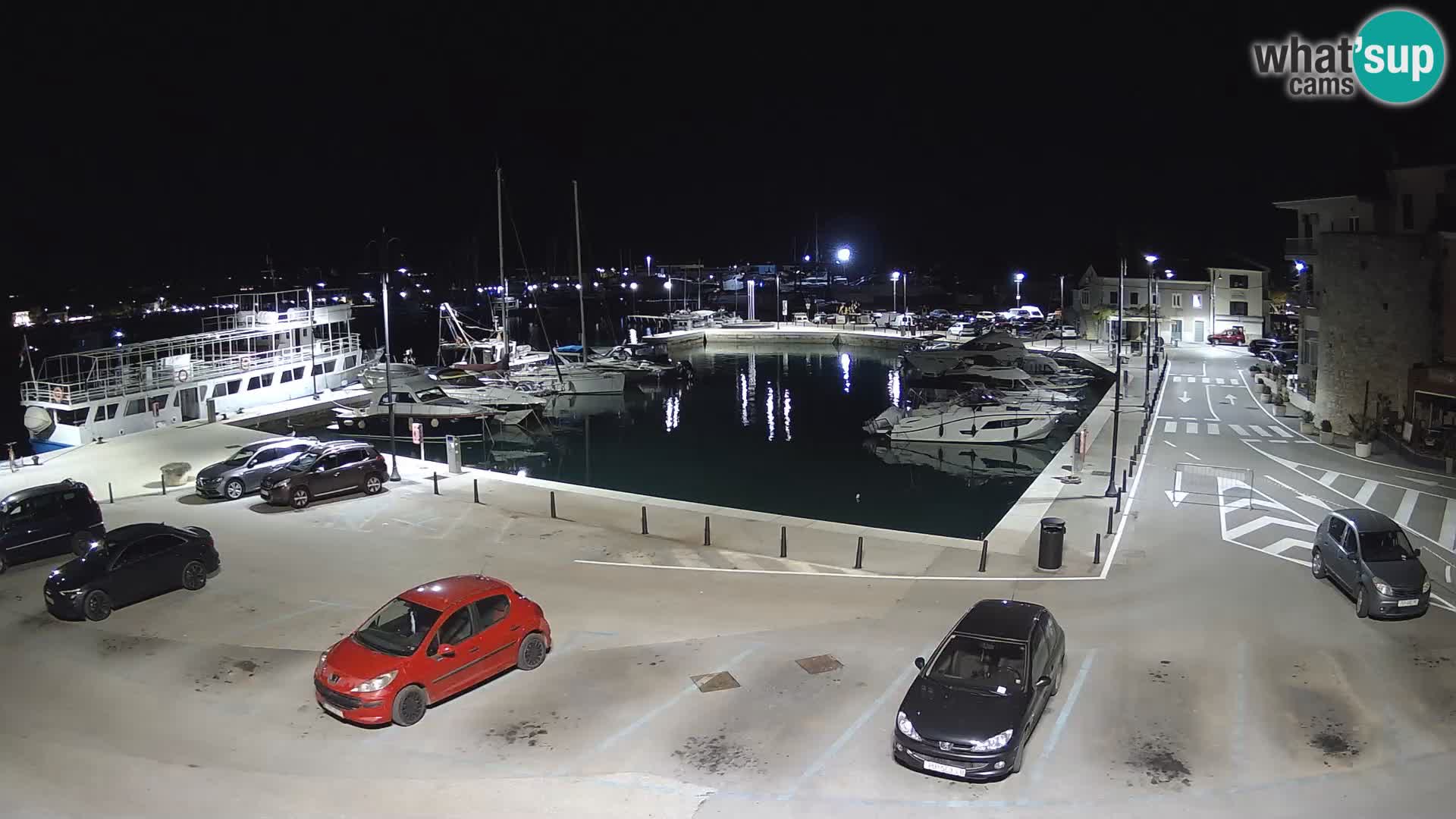Novigrad | Porporela marina