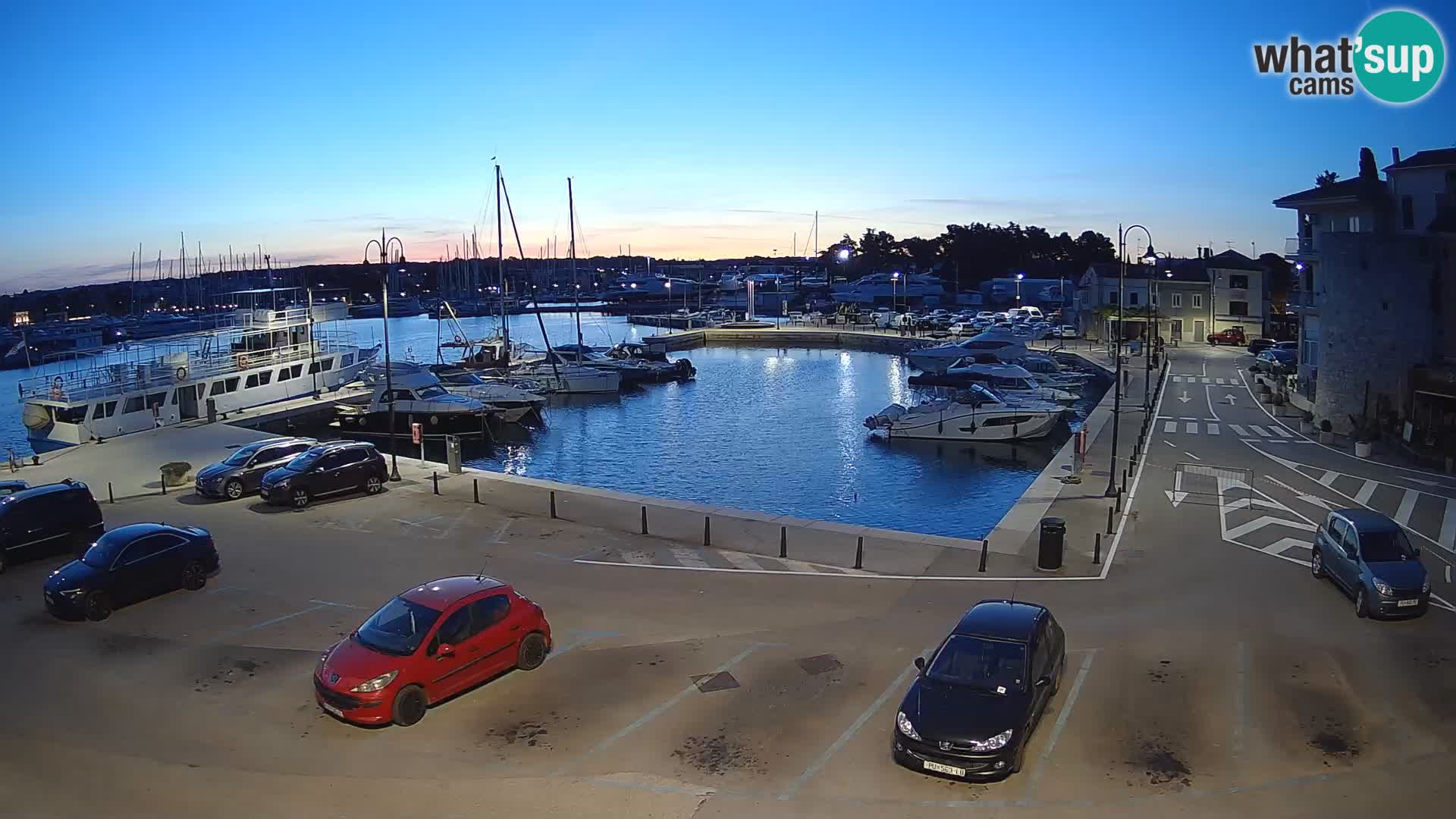 Novigrad | Porporela marina