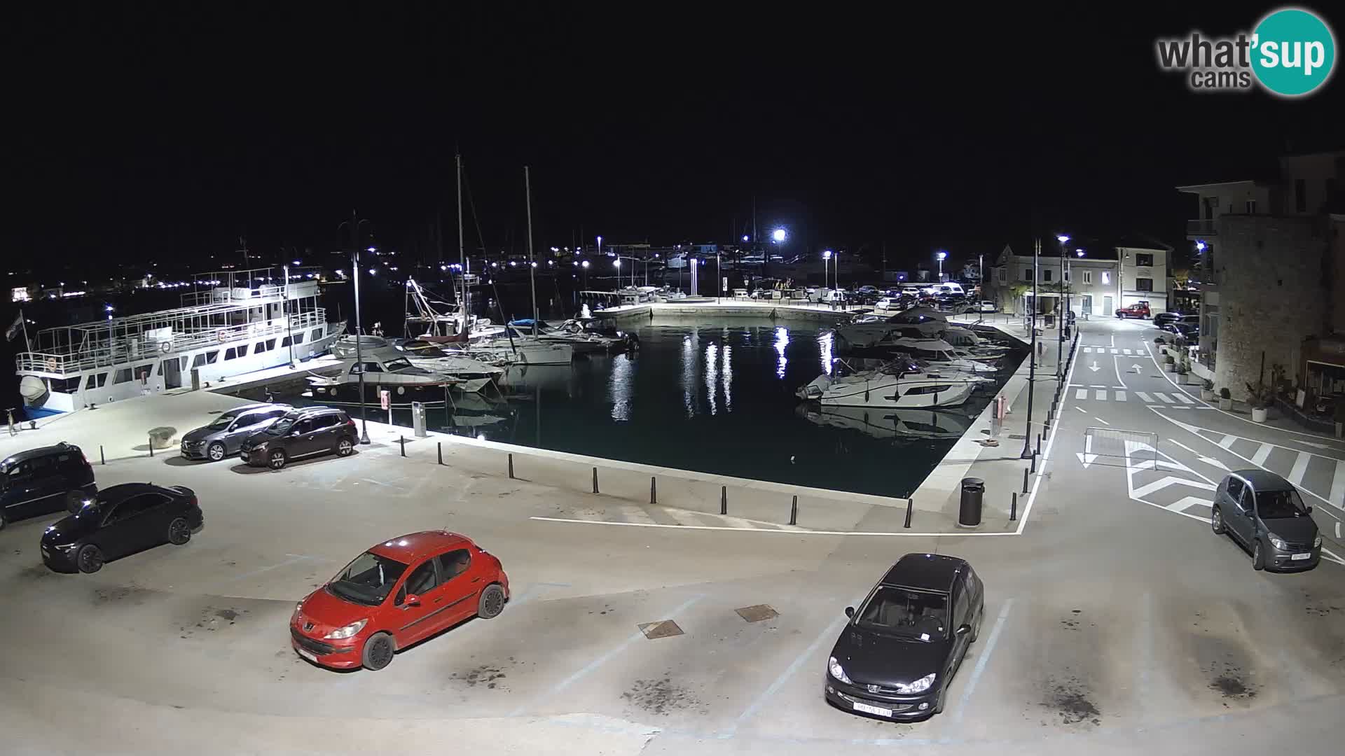 Novigrad | Porporela marina