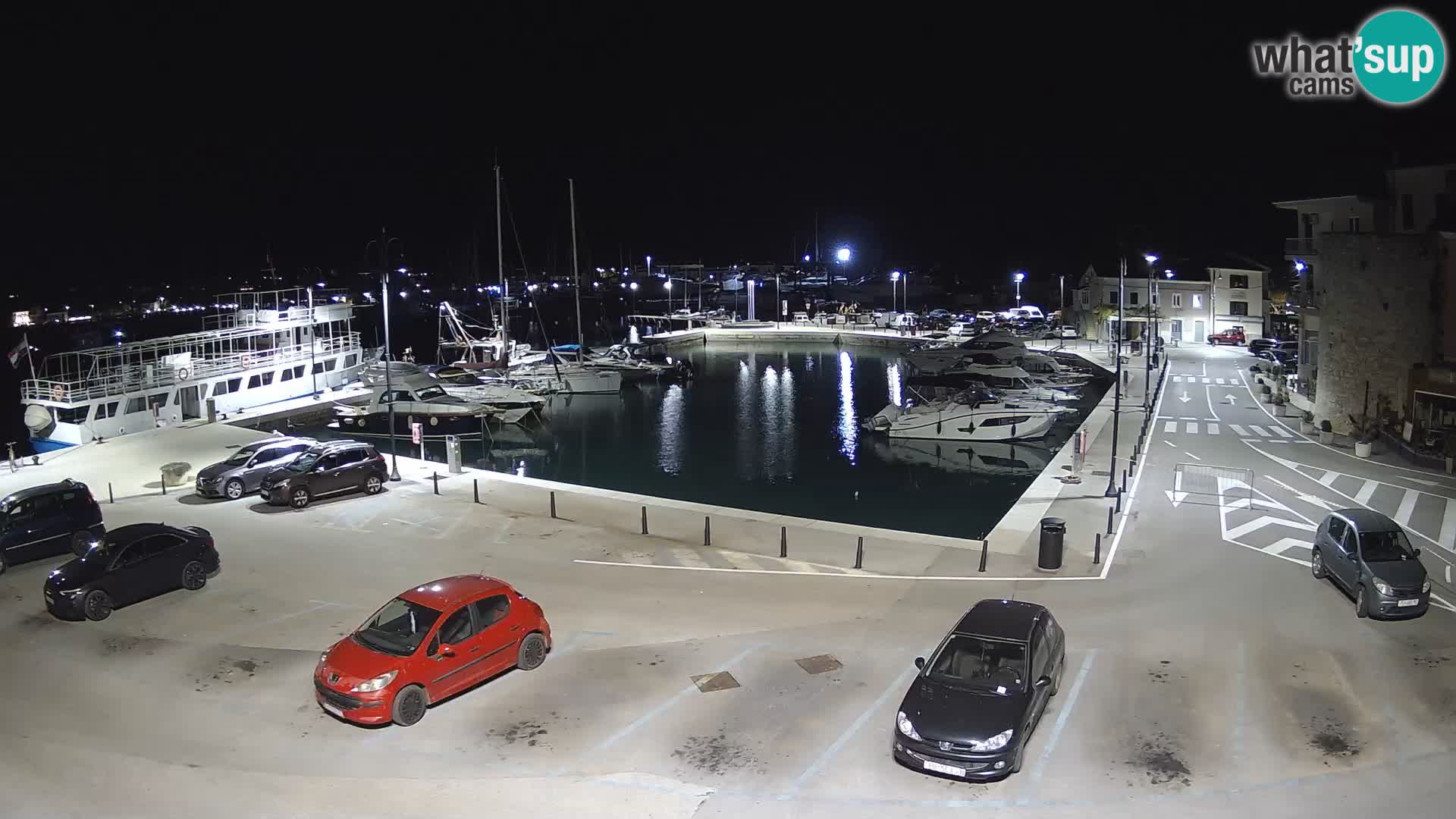Novigrad | Porporela marina