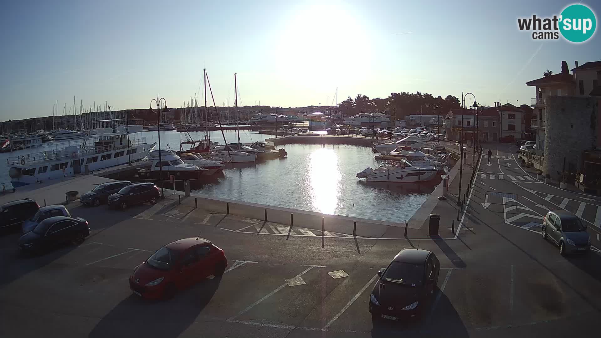 Novigrad | Porporela marina