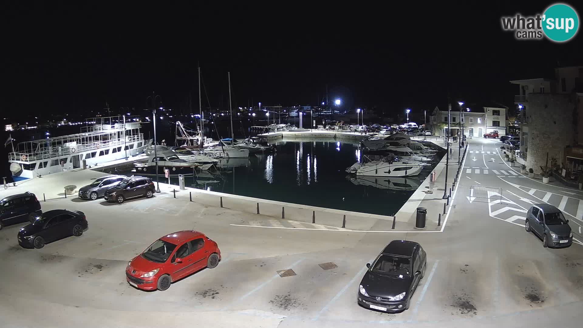 Novigrad | Porporela marina