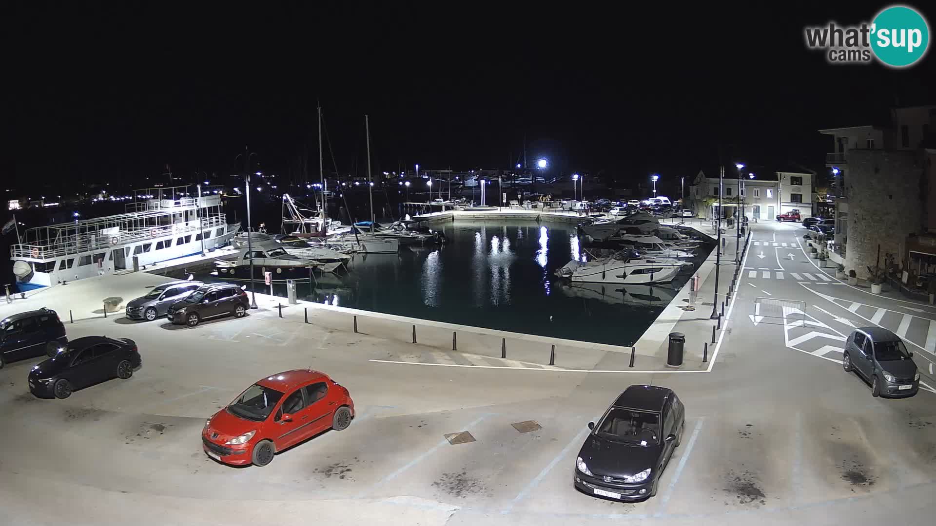 Novigrad | Porporela marina