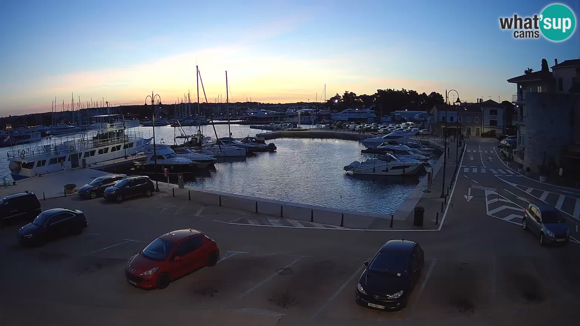 Novigrad | Porporela marina