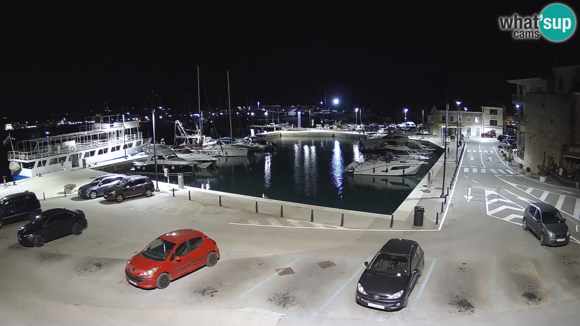 Novigrad | Porporela marina
