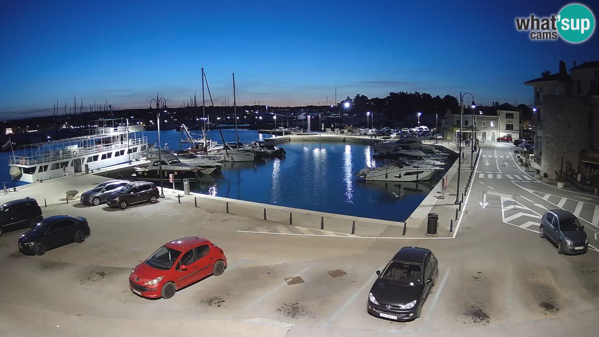 Novigrad | Porporela marina