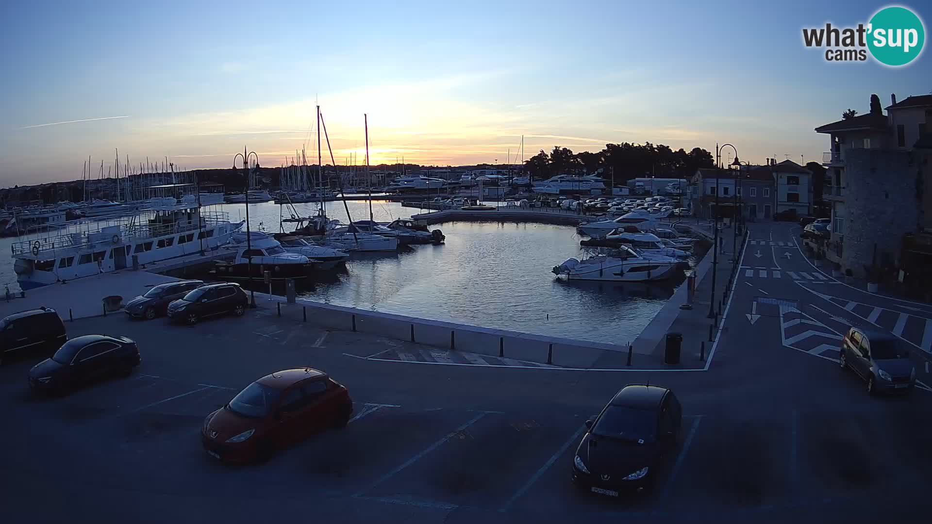 Novigrad | Porporela marina