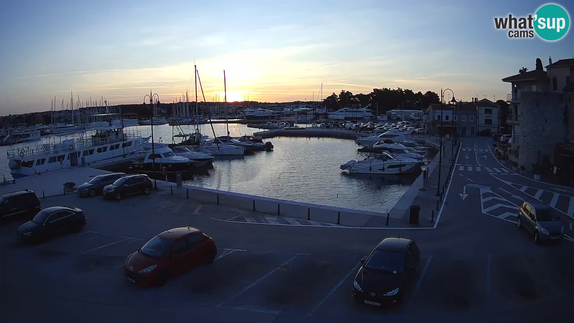 Novigrad | Porporela marina