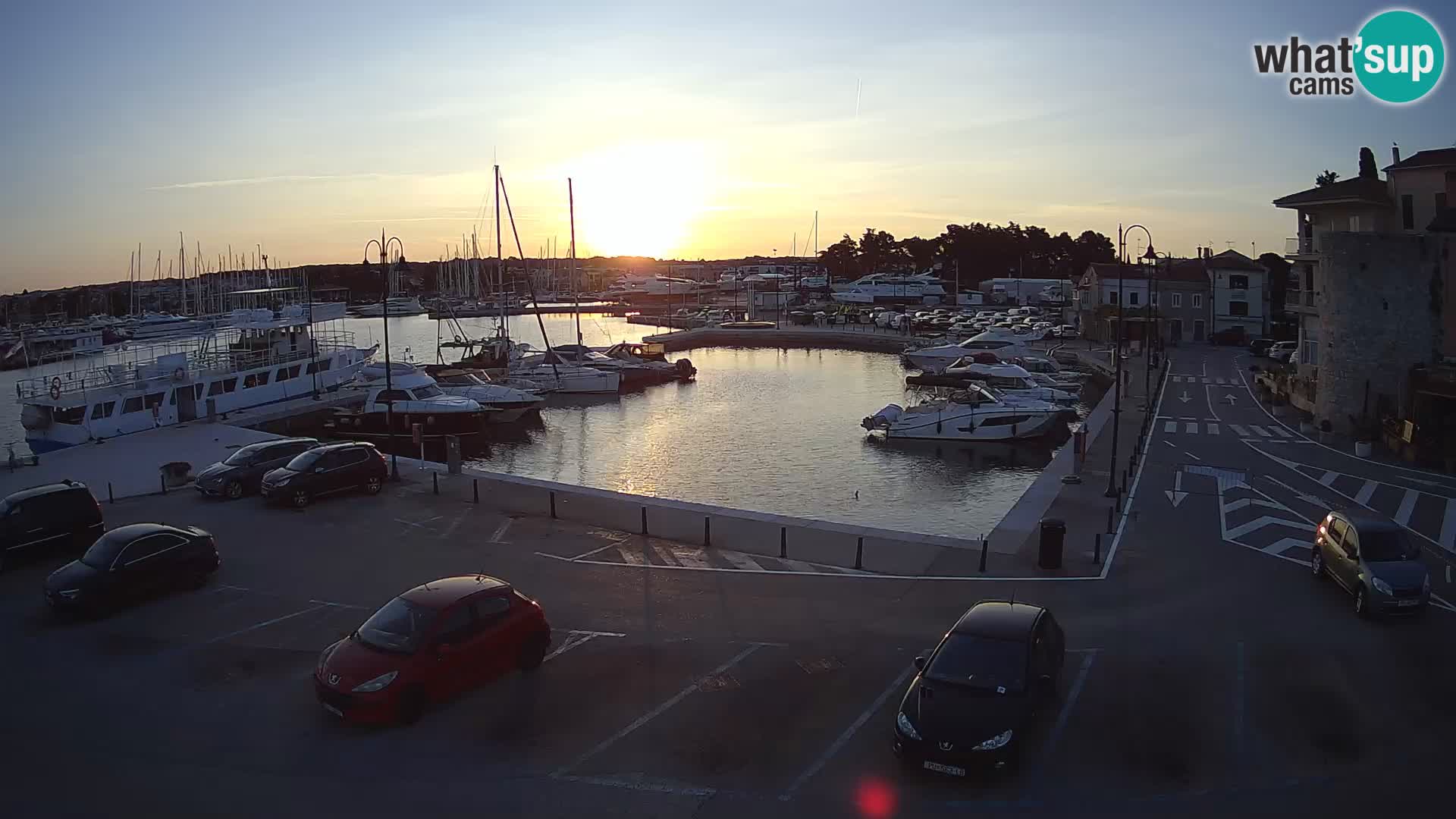Novigrad | Porporela marina