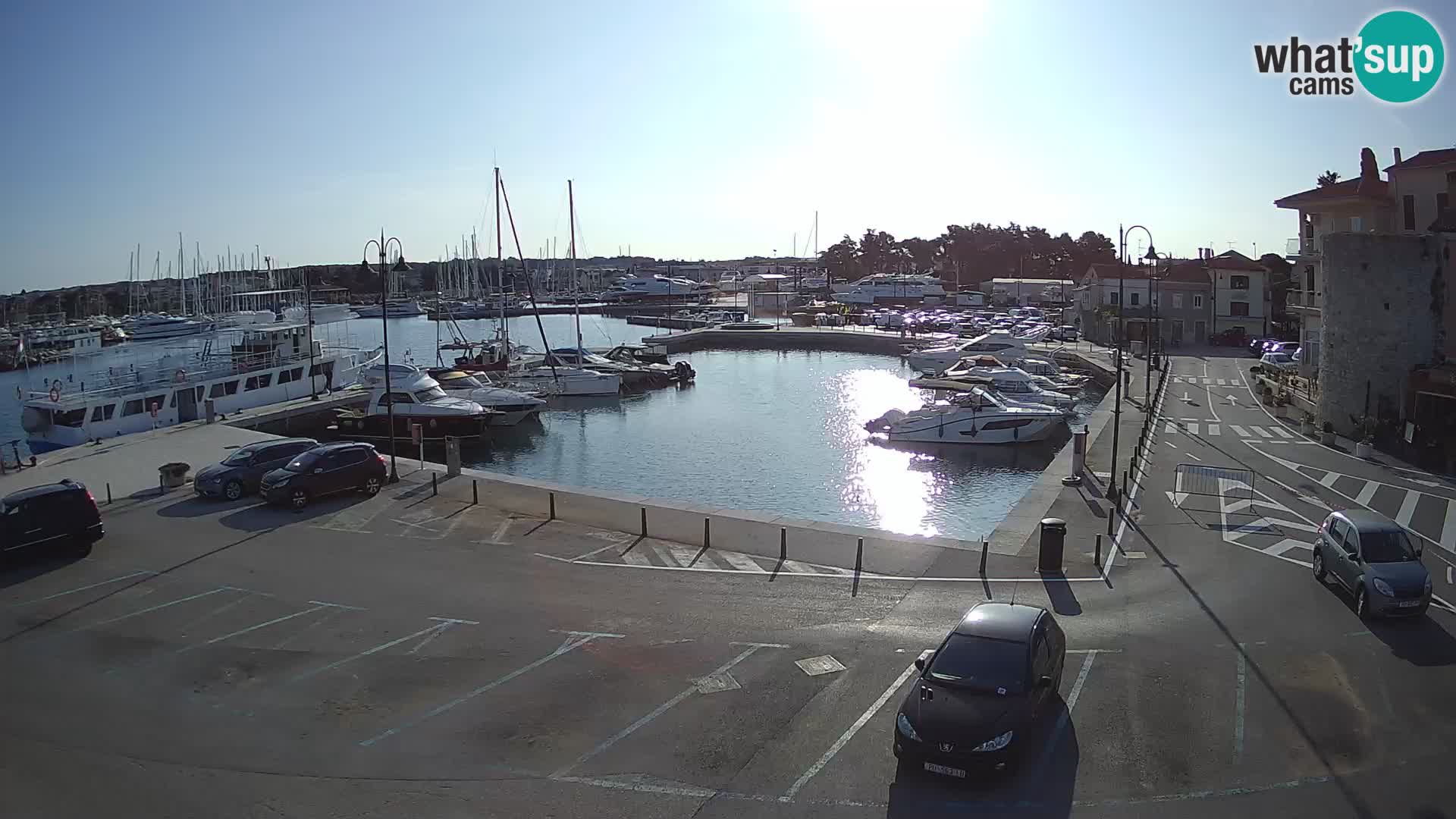 Novigrad | Porporela marina