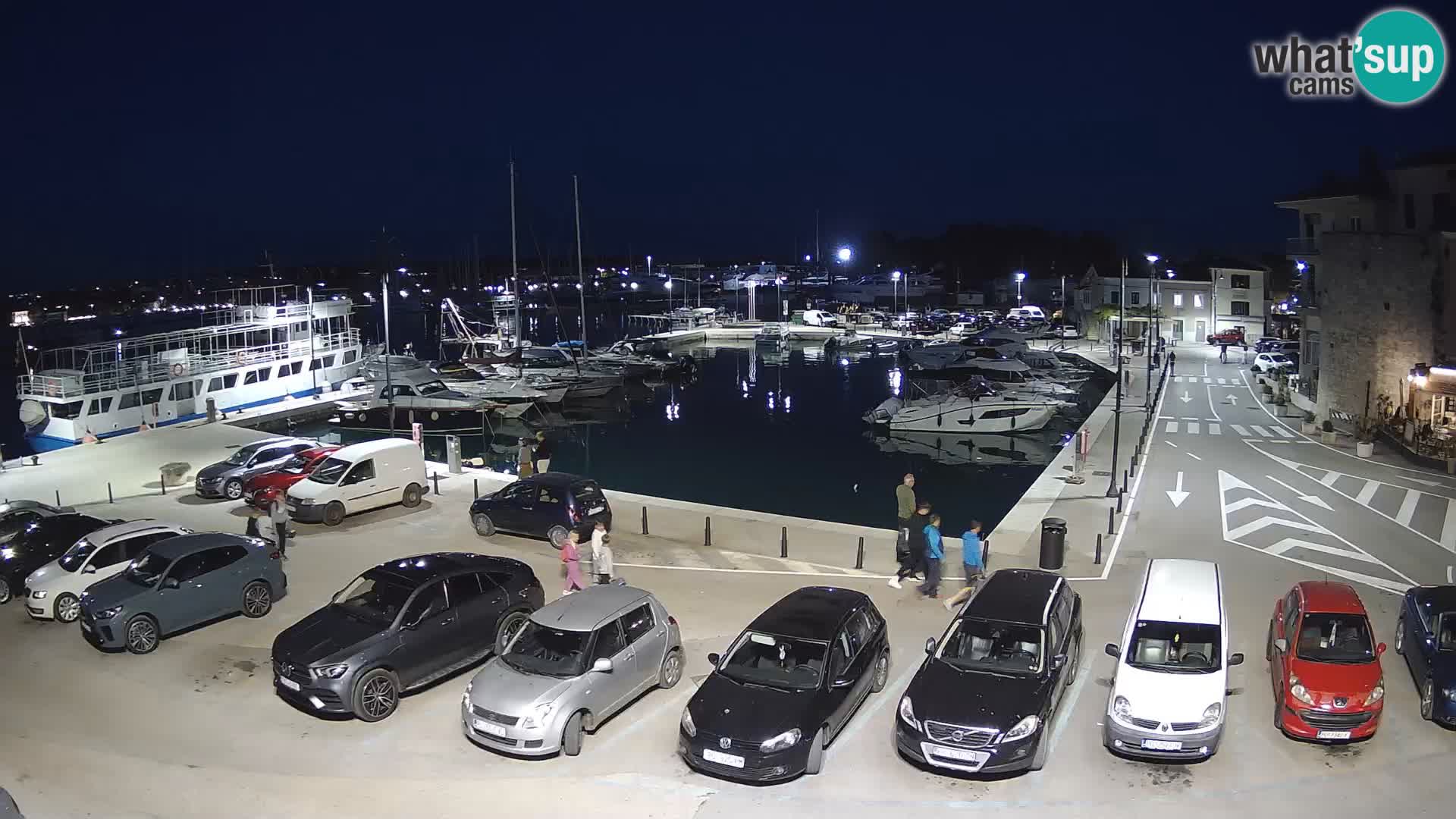 Novigrad | Porporela marina