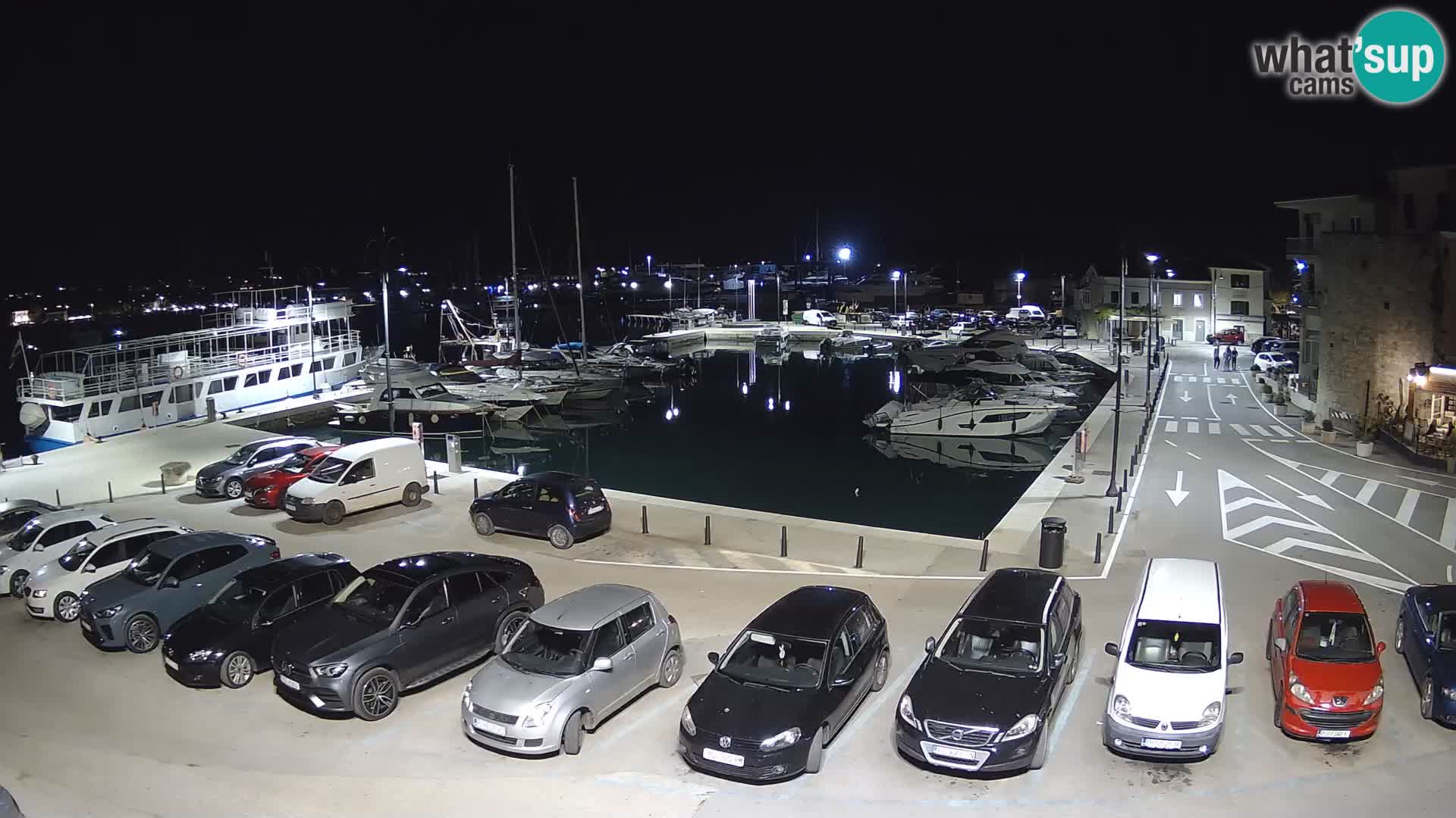 Novigrad | Porporela marina