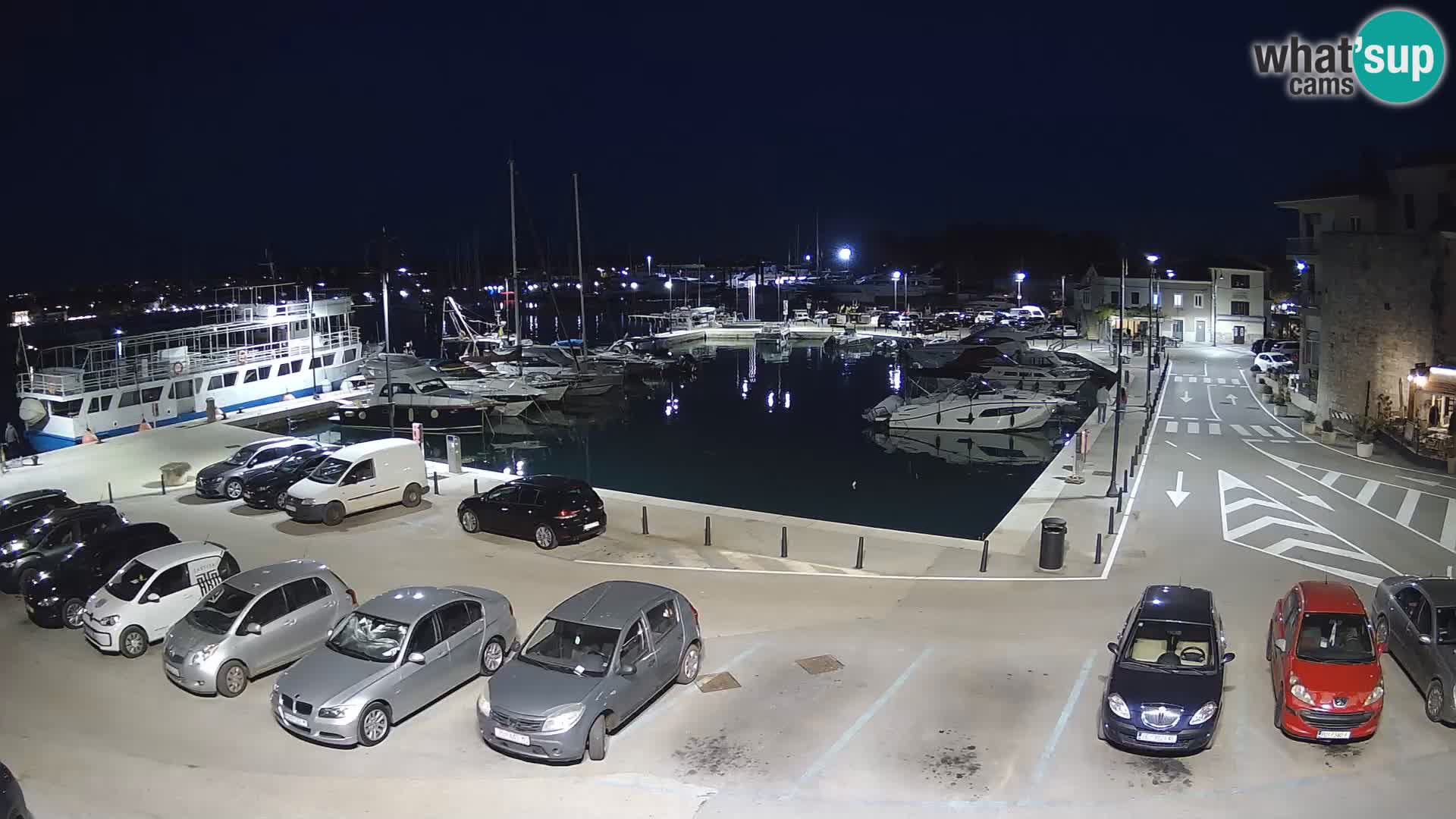 Novigrad | Porporela marina
