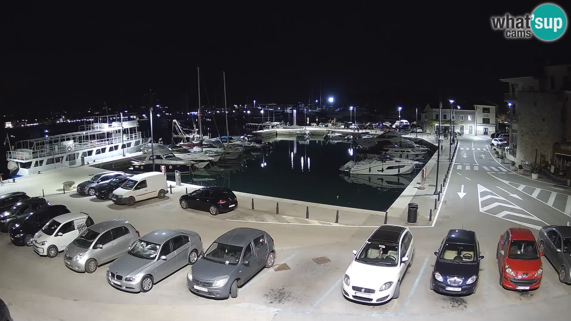 Novigrad | Porporela marina