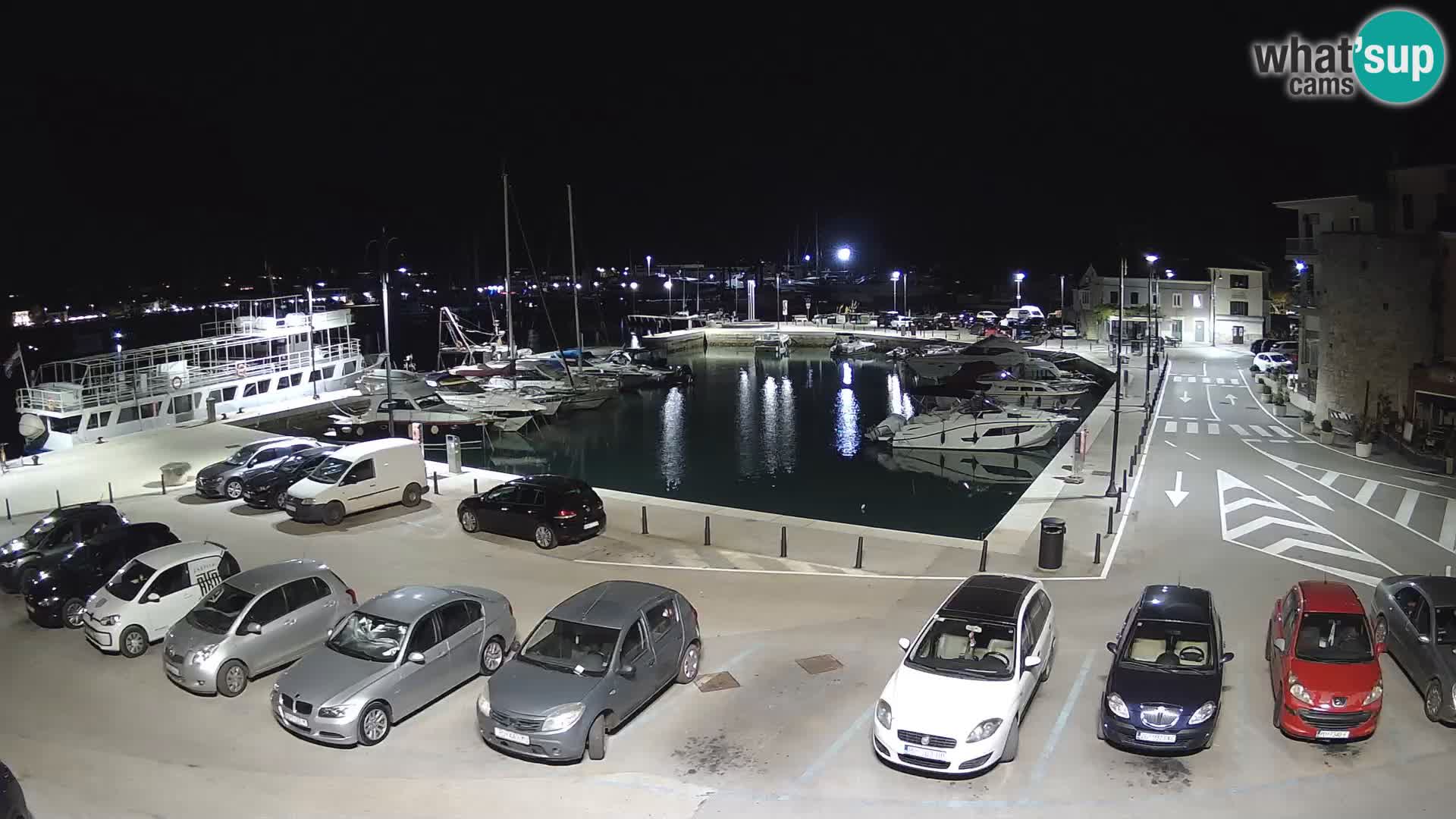 Novigrad | Porporela marina