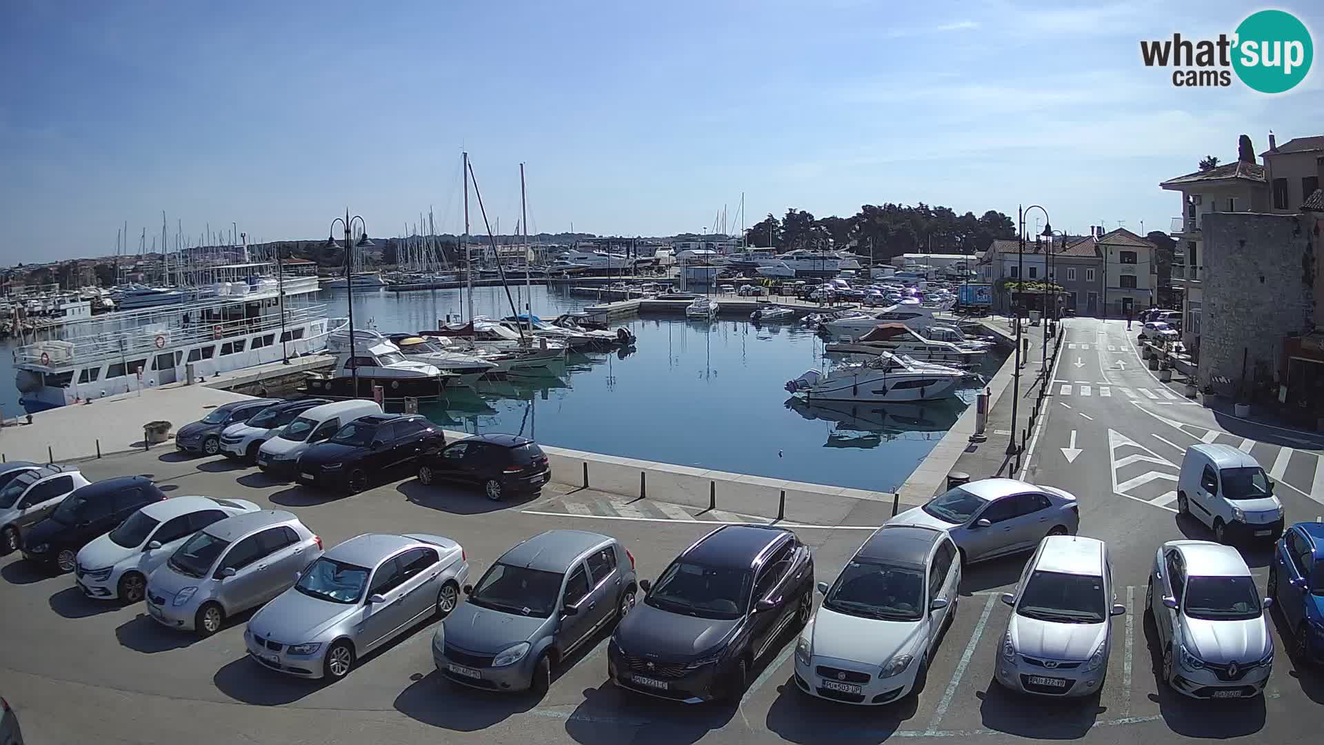 Novigrad | Porporela marina