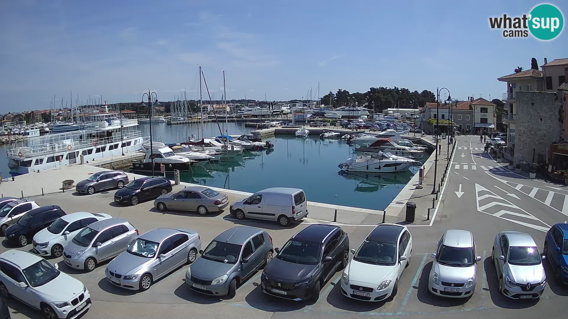 Novigrad | Porporela marina