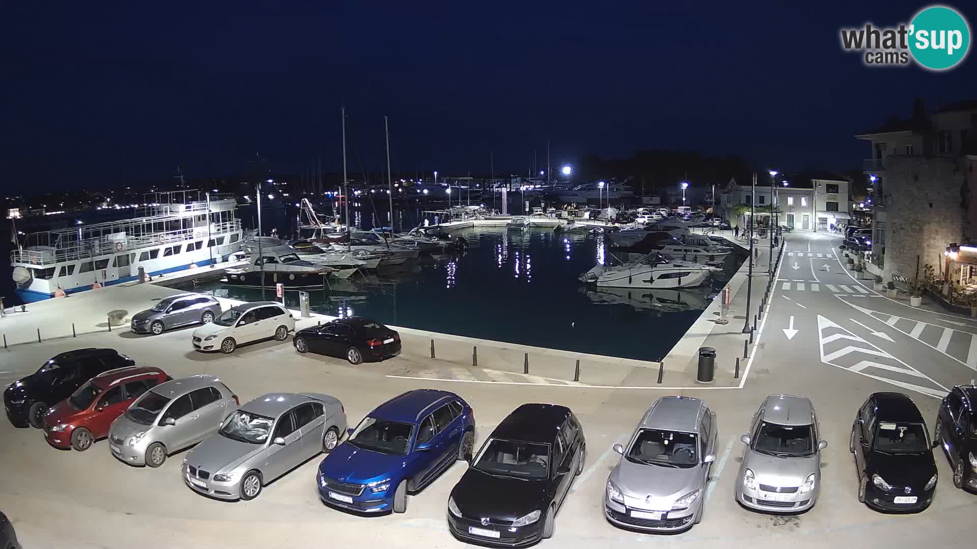 Novigrad | Porporela marina