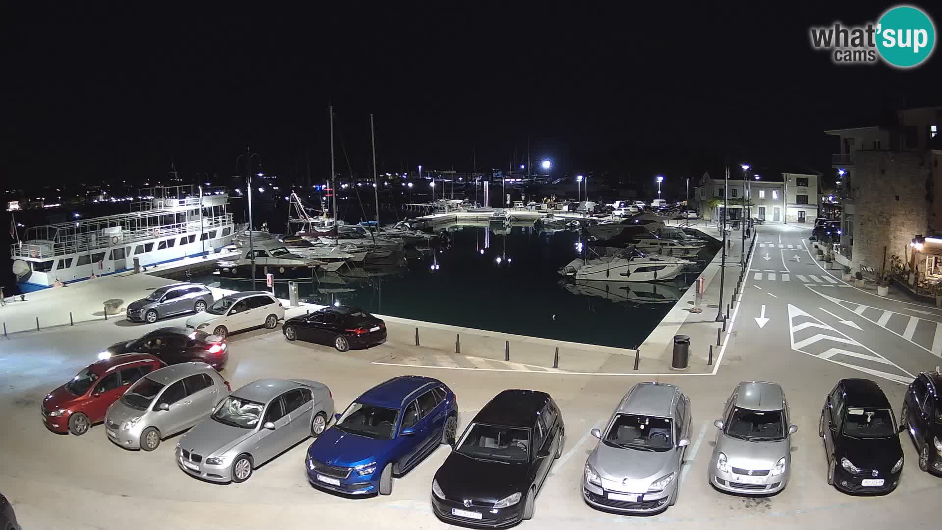 Novigrad | Porporela marina