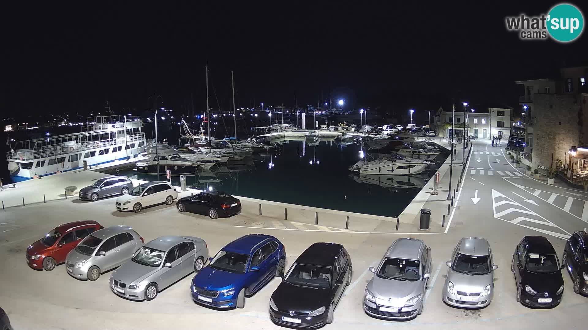Novigrad | Porporela marina