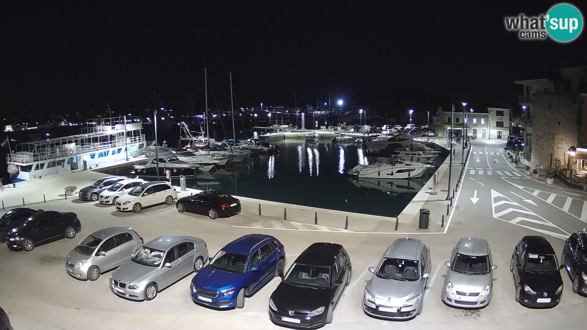 Novigrad | Porporela marina