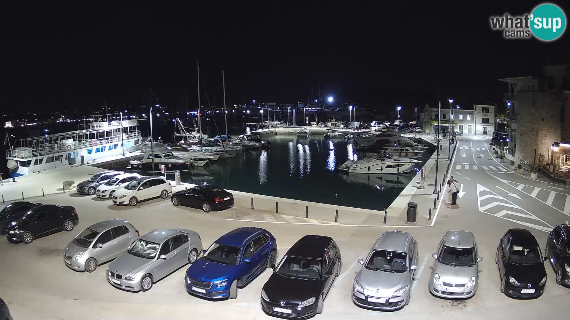 Novigrad | Porporela marina