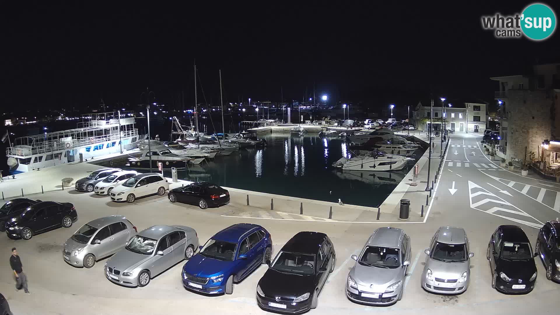 Novigrad | Porporela marina