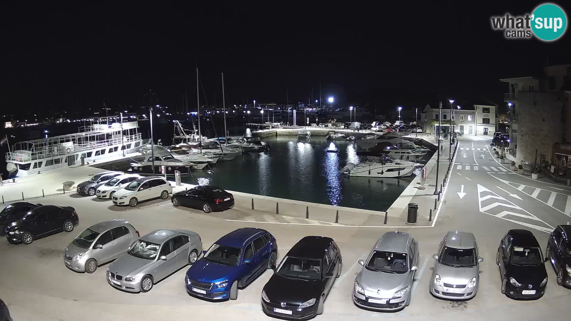 Novigrad | Porporela marina