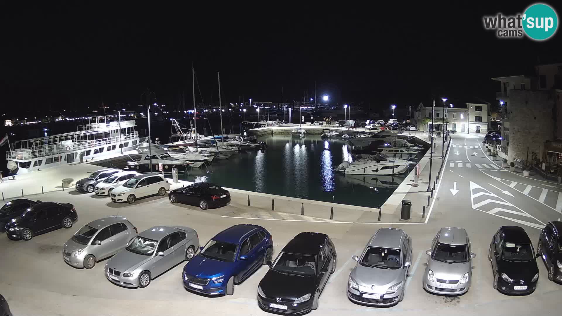 Novigrad | Porporela marina