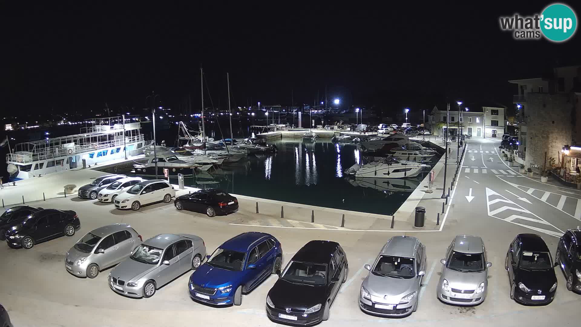 Novigrad | Porporela marina