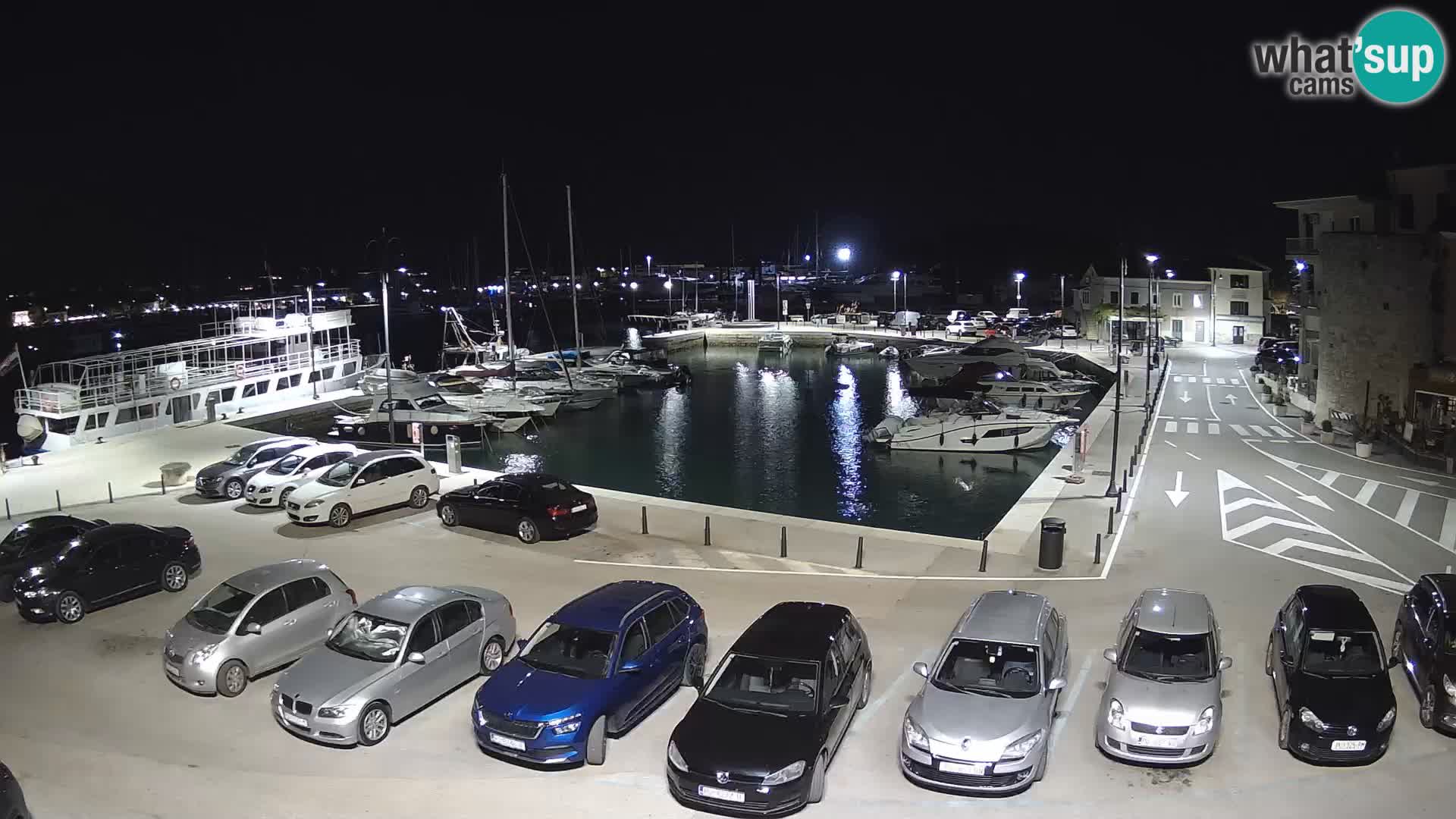 Novigrad | Porporela marina