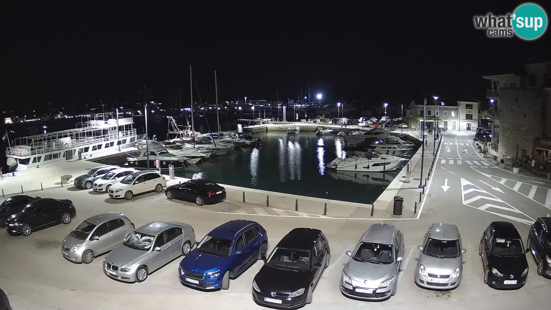 Novigrad | Porporela marina